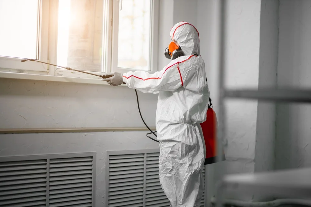Professional mold remediation services in Dearing, GA